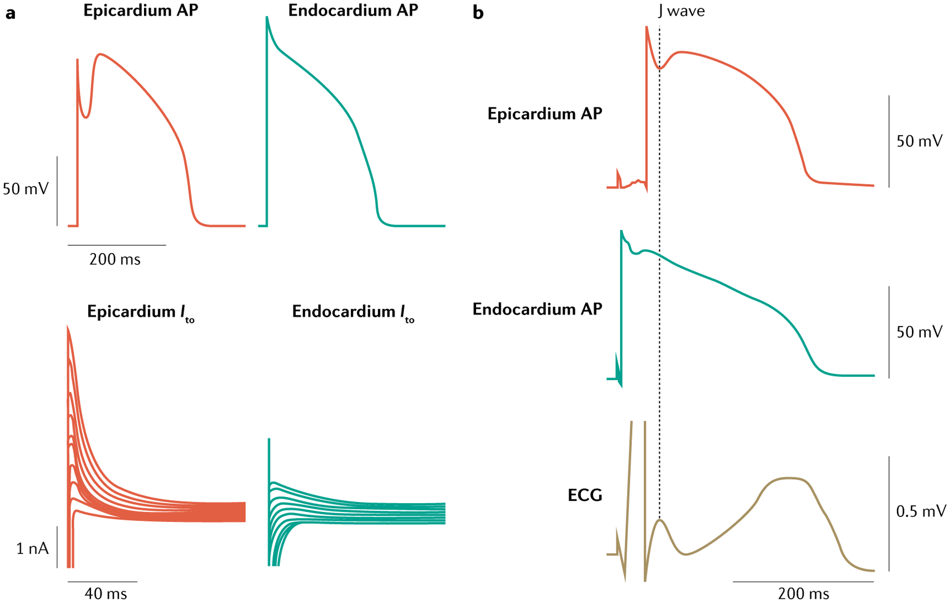 Fig. 4 |