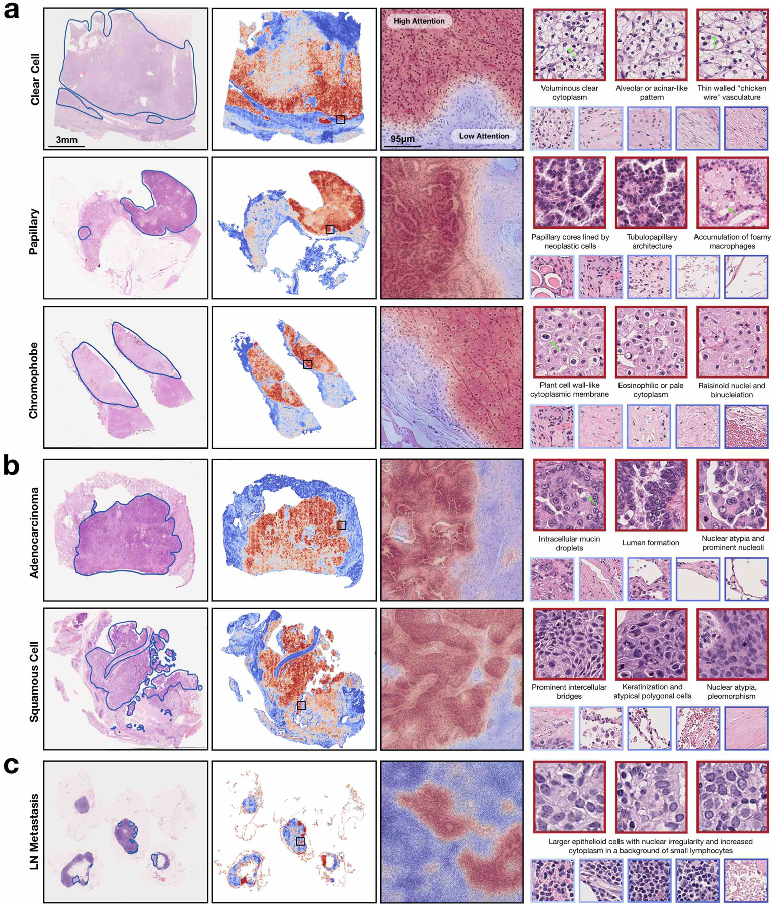 Fig 4.