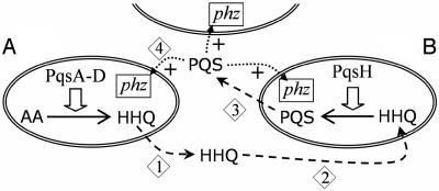 Fig. 6.