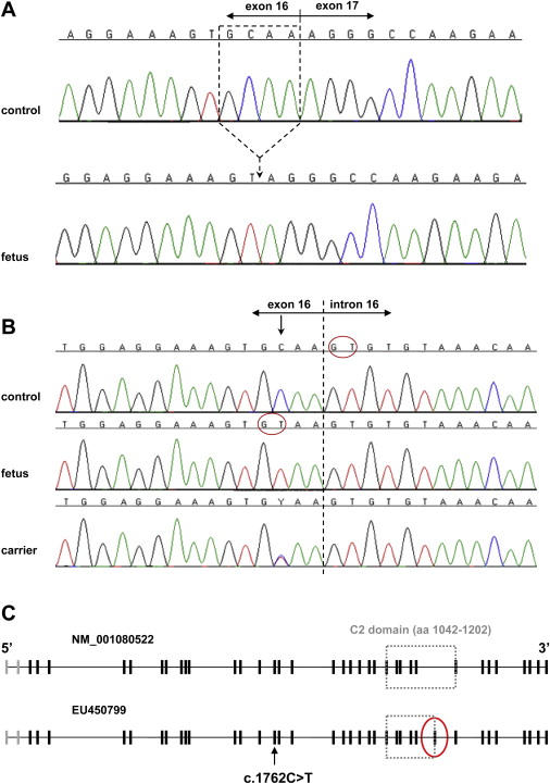 Figure 3