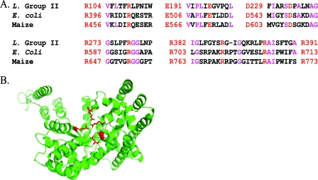 FIG. 7.