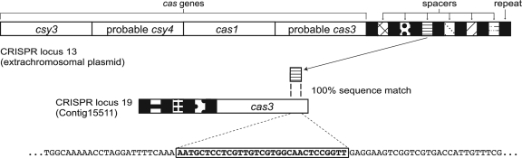 FIG. 9.