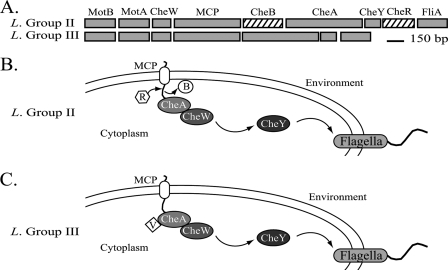 FIG. 8.