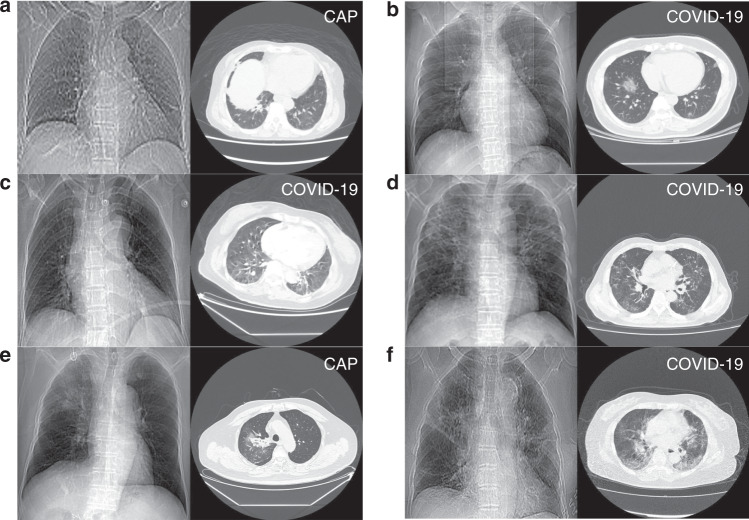 Fig. 6