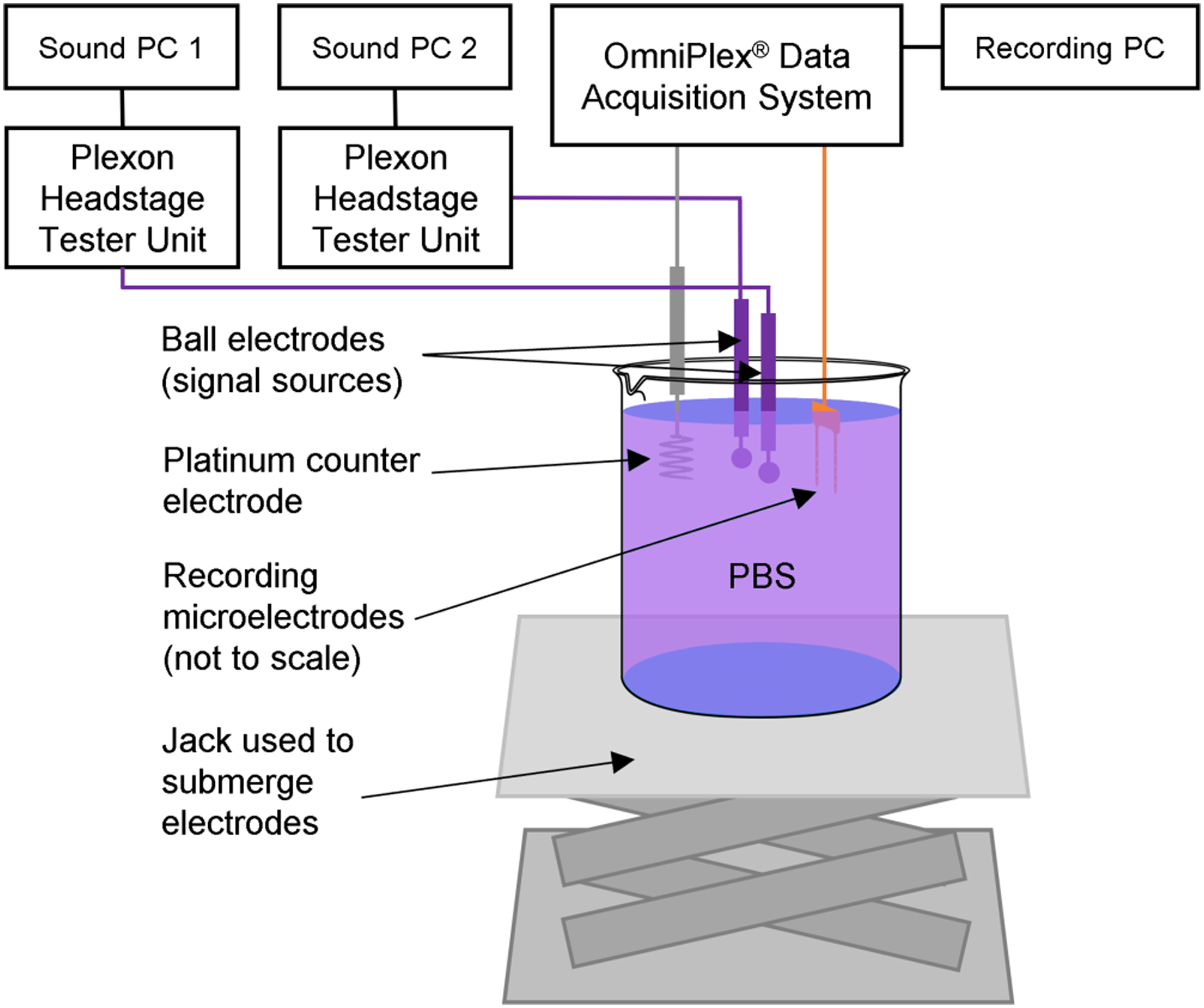 Figure 1: