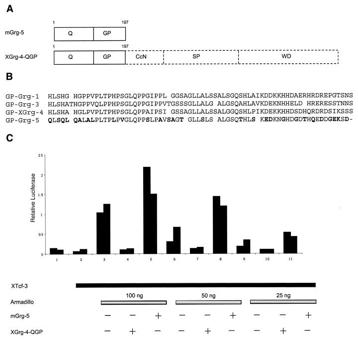 Figure 5