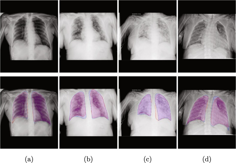 Fig. 12