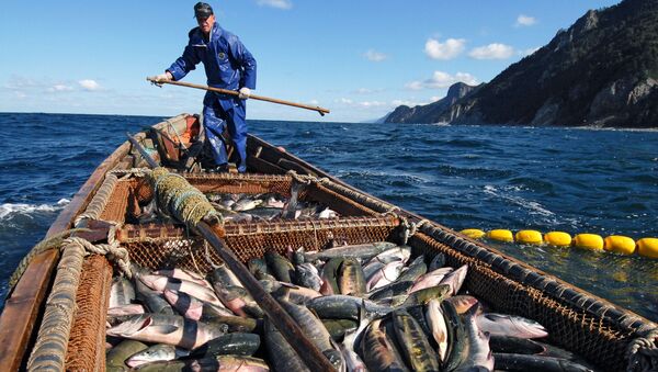 Pescador no mar de Okhotsk - Sputnik Brasil