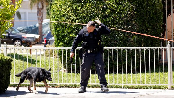 Polícia e cão revistam área em que aconteceu tiroteio (imagem ilustrativa) - Sputnik Brasil