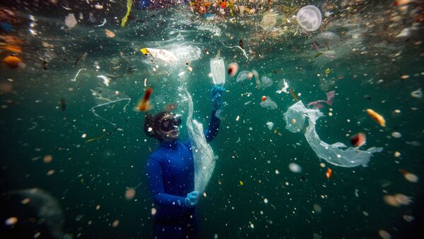 Nova Ameaça para a Vida Debaixo d'Água: Resíduos da COVID-19 (New danger to life below water: COVID-19 waste) - Sputnik Brasil