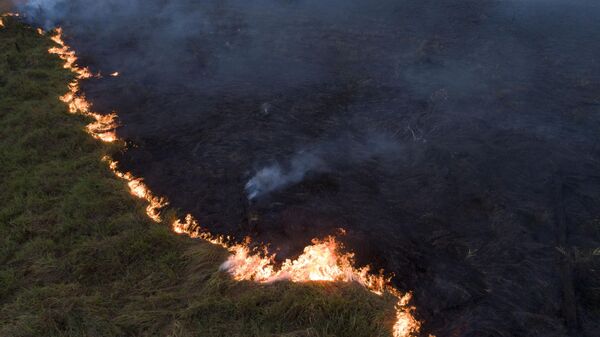 Queimada na Floresta Amazônica vista a partir da cidade de Porto Velho, capital de Rondônia, em 9 de setembro de 2019 - Sputnik Brasil