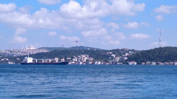 O primeiro navio comercial que deixou a Ucrânia sob o acordo de grãos do Mar Negro foi inspecionado em Istambul e liberado para seguir para o Líbano, disse o Centro de Coordenação Conjunta (JCC), 03 de agosto de 2022 - Sputnik Brasil