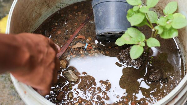 Agentes durante ação de combate à proliferação do mosquito transmissor da dengue em local com água parada. Brasília, 31 de janeiro de 2024 - Sputnik Brasil