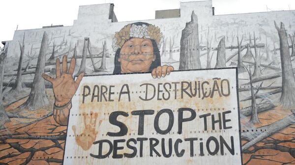 Mural do artista Mundano em São Paulo (SP), criado em protesto contra a terceirização das consequências das mudanças climáticas, em registro de 27 de novembro de 2024 - Sputnik Brasil