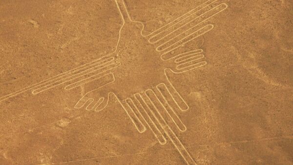 Aves gigantes na cidade de Nazca - Sputnik Brasil