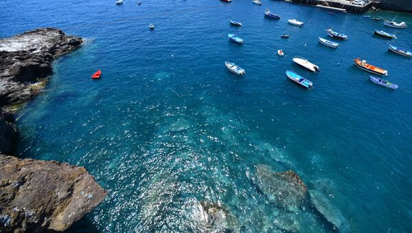 Porto da cidade de Câmara de Lobos, na ilha da Madeira, Portugal - Sputnik Brasil