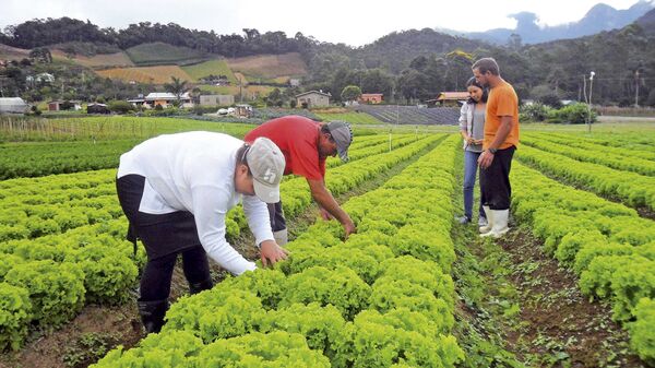 Agricultura familiar - Sputnik Brasil