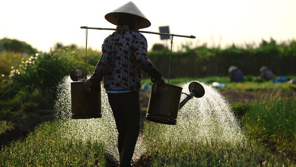 Irrigação na agricultura. - Sputnik Brasil