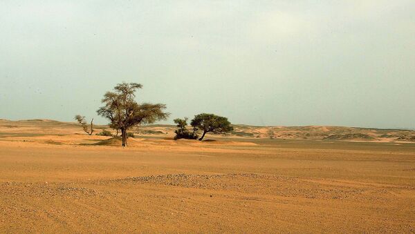 Deserto do Saara - Sputnik Brasil