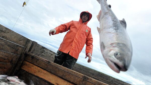 Pesca  (imagem referencial) - Sputnik Brasil