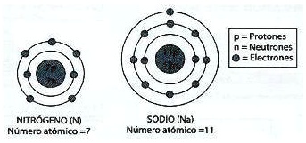 SOLVED: 5. A continuación se presentan los modelos atómicos del ...