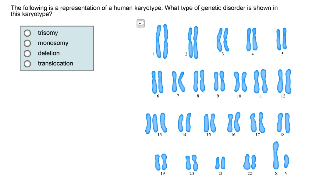 the following is a representation of a human karyotype what type of genetic disorder is shown in this karyotype trisomy monosomy deletion translocation 86 q6 01 81538