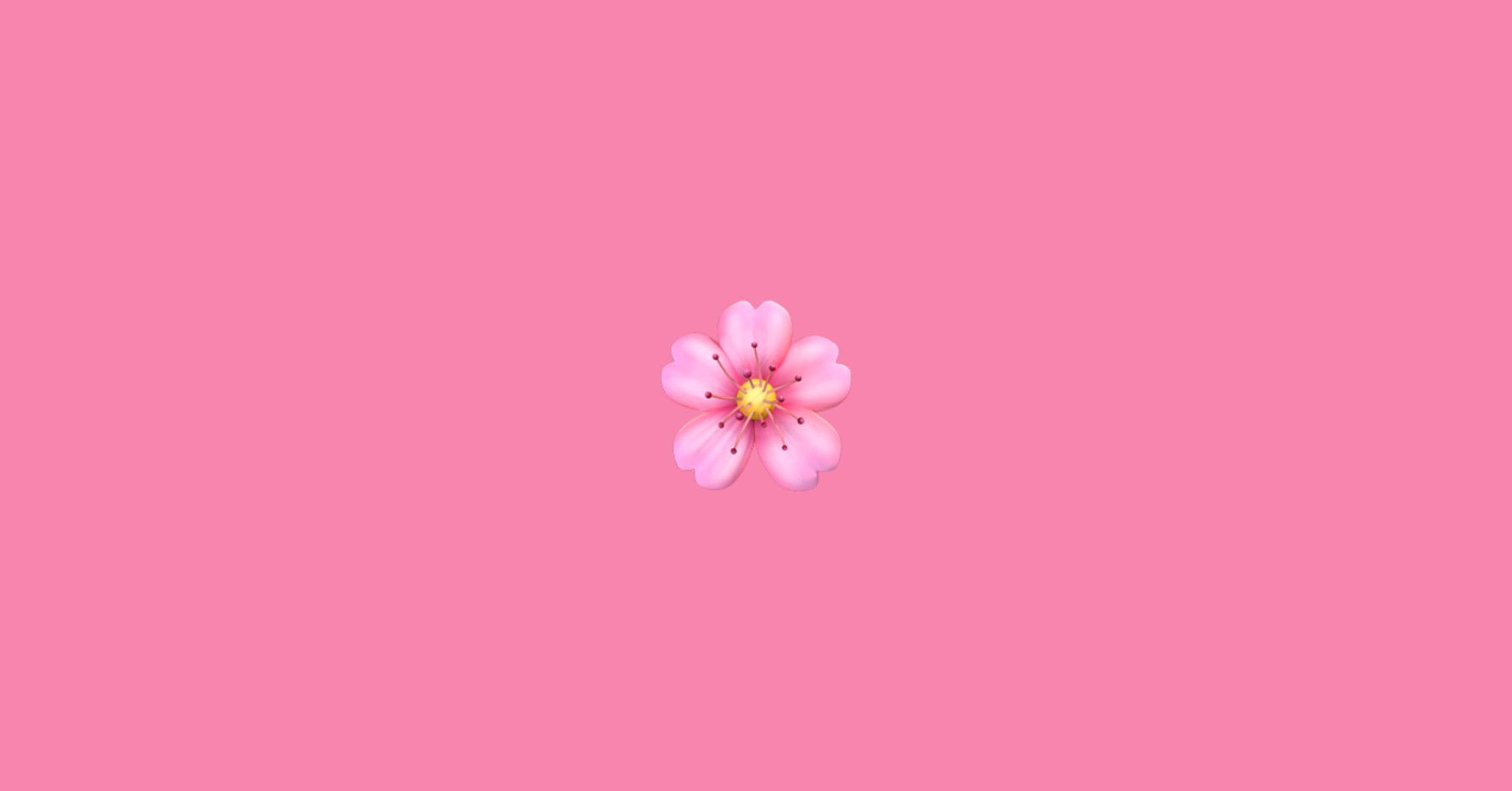 Cherry Blossom emoji