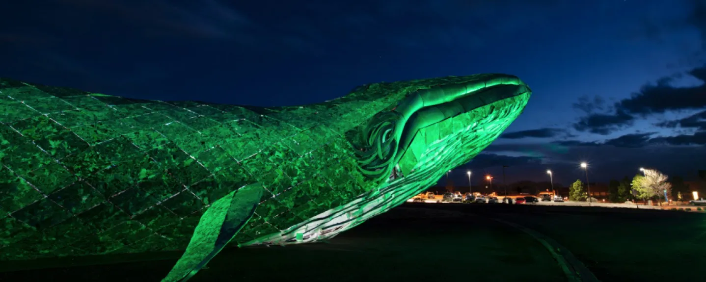 large whale made of recycled materials outside against a night sky