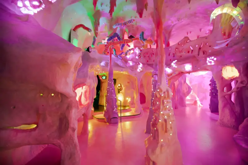 A magical room with fluffy pink walls, pink ceilings and pink squishy posts throughout. 