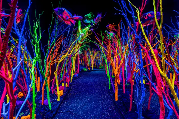 A glowing forest of rainbow coral in a dark room at Meow Wolf Santa Fe