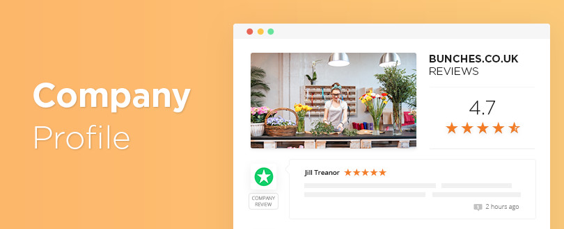 Feature - Company Profile Page on Reviews.io