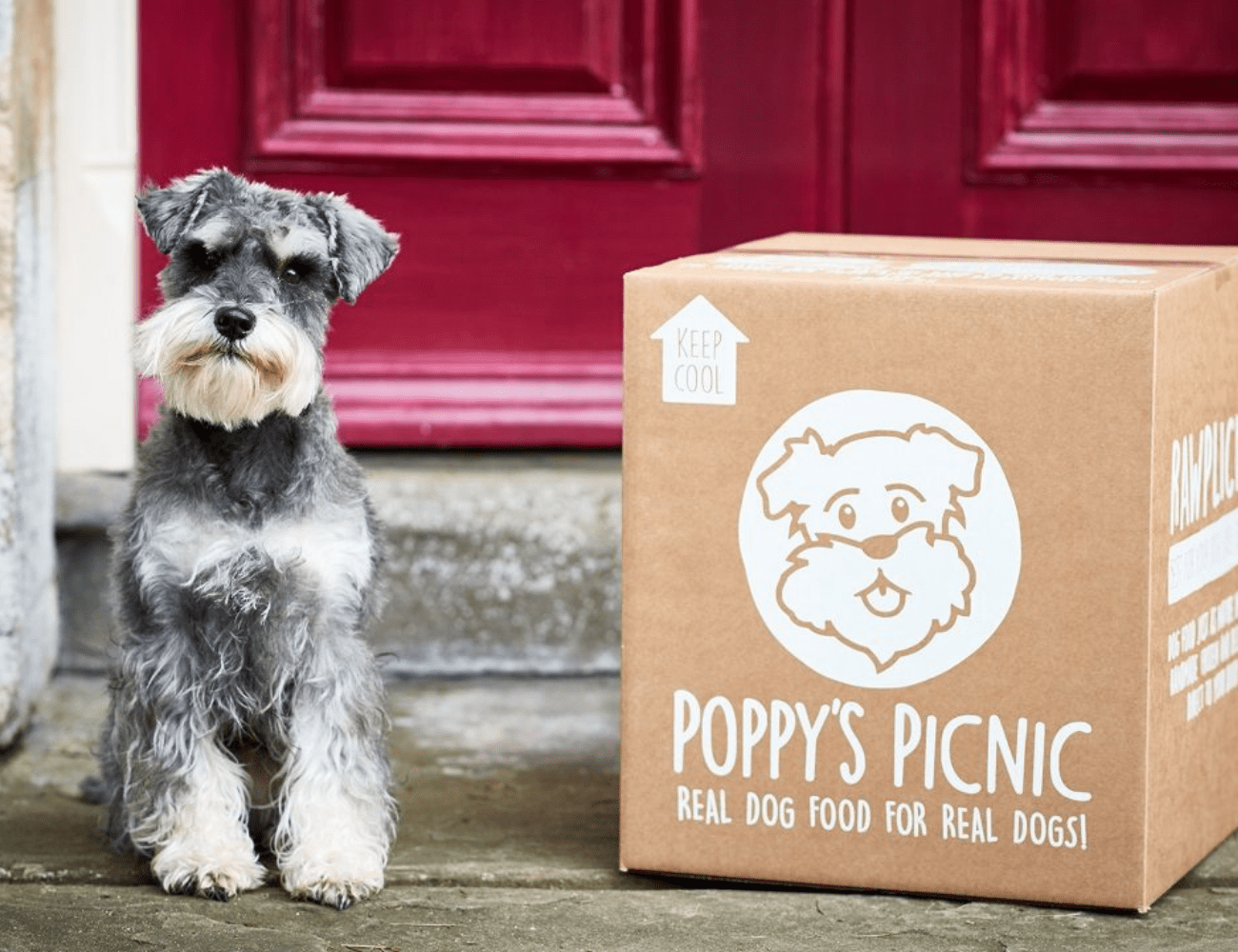 How Startup, Poppy's Picnic, Use Reviews To Supercharge Their Growth