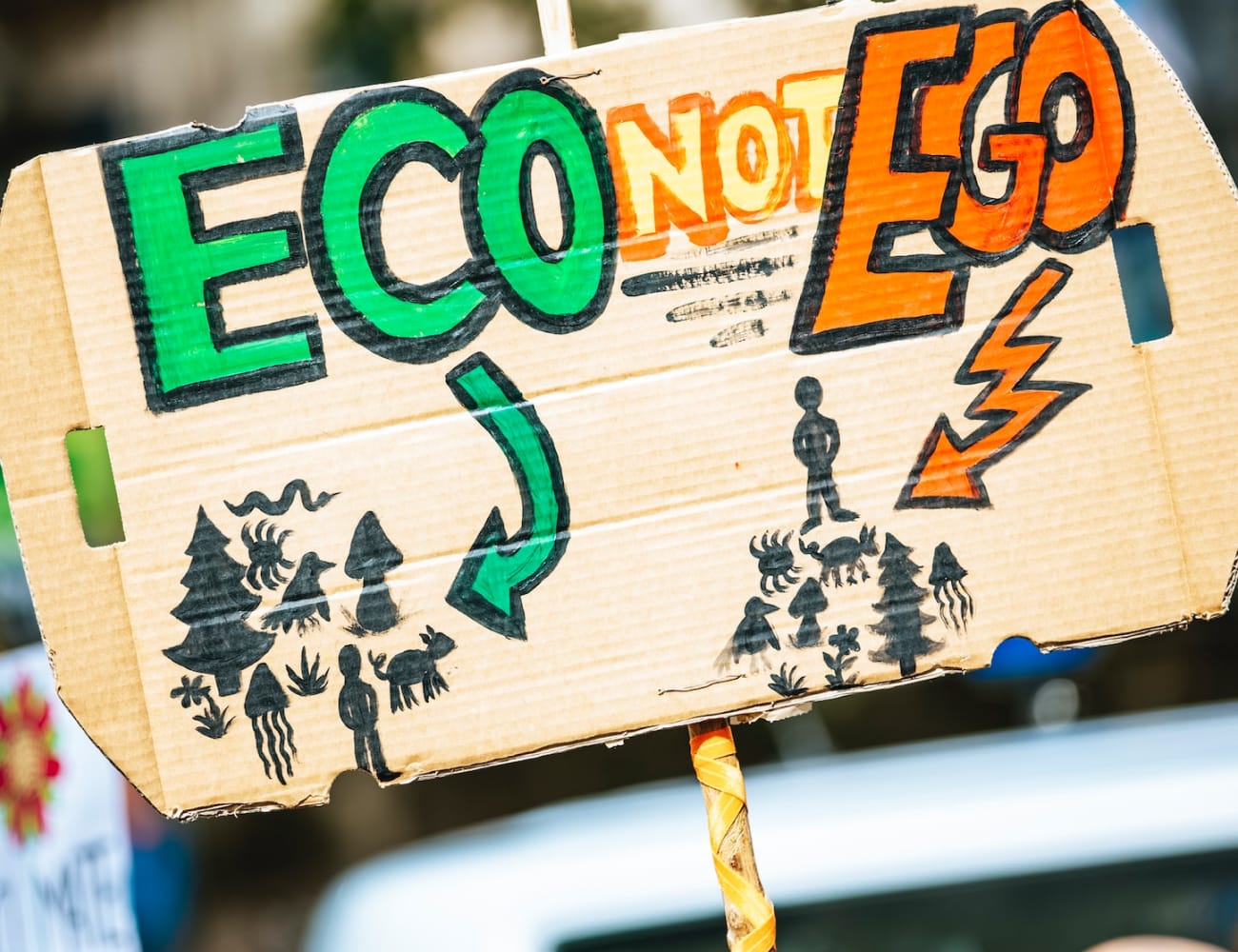 Sustainability for eCommerce: How to Reduce Environmental Impact While Increasing Profit Margins