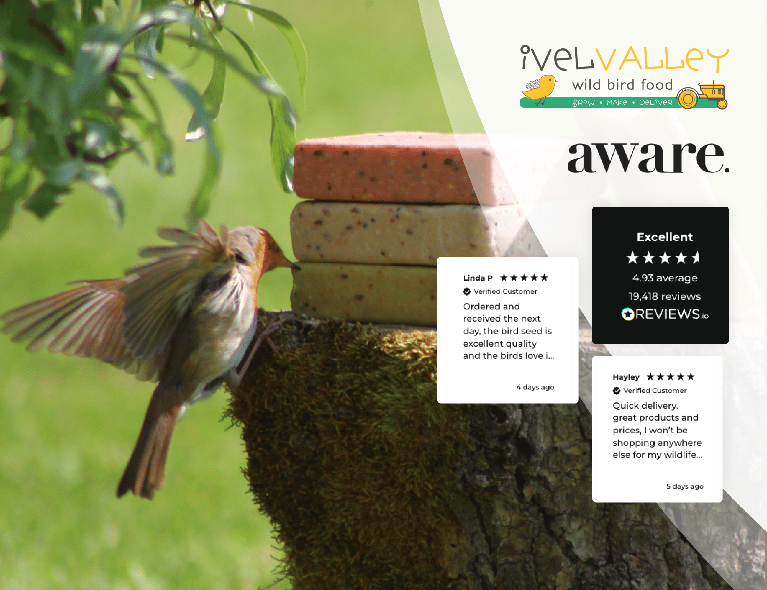 How Ivel Valley Bird Food Transformed its Magento Store with Aware Digital & REVIEWS.io