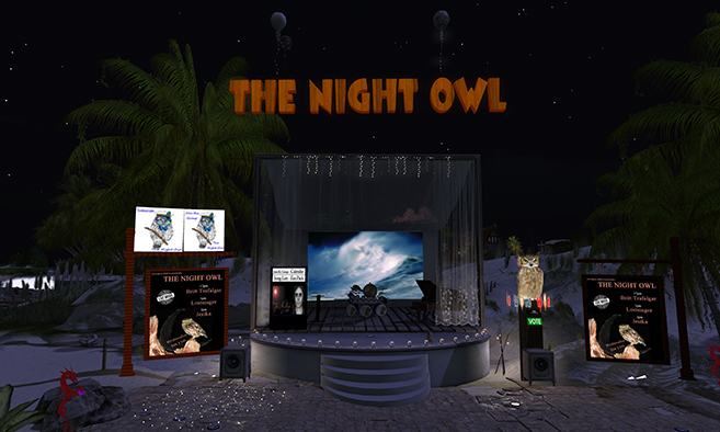 The Night Owl