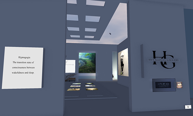 Hypnagogia Gallery