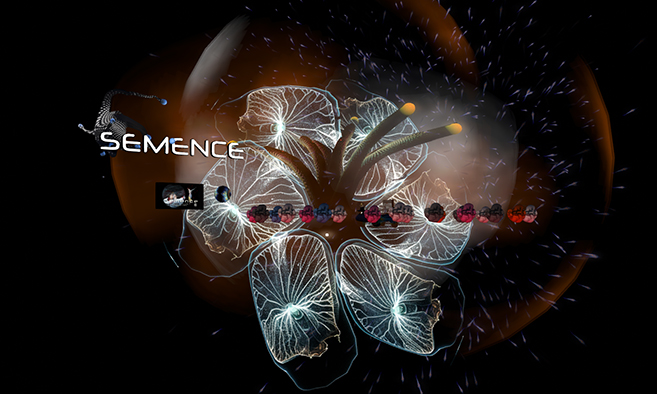 Semence Light Show at SLEA