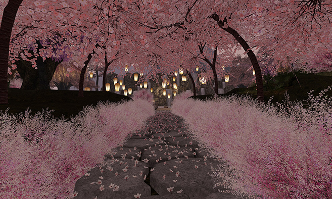 Cherry Blossom Cove