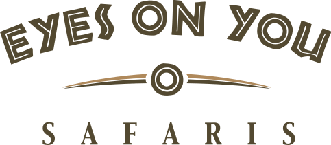 Arched text based logo that reads Eyes On Your Safaris