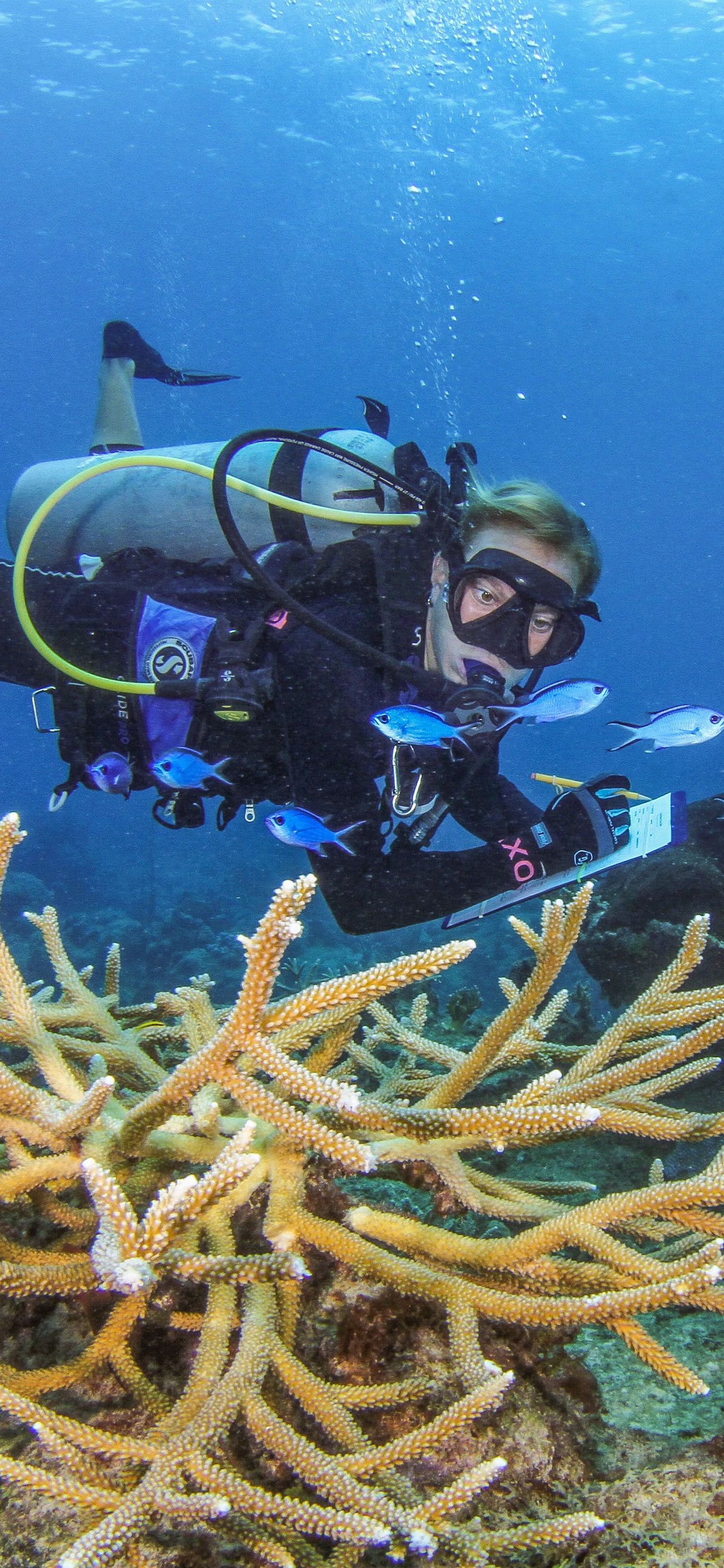 Diver taking notes under water