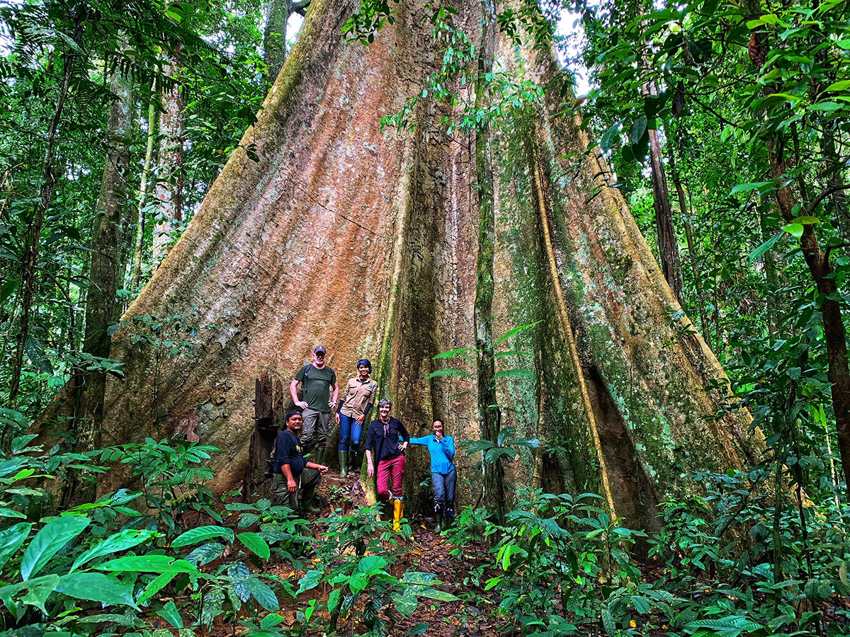 Canopy staff in front on a large tree 