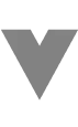 VUE logo