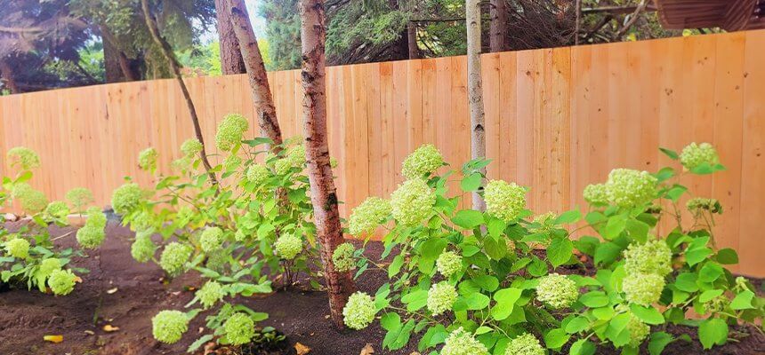 19 Best Garden Fence Ideas in 2025