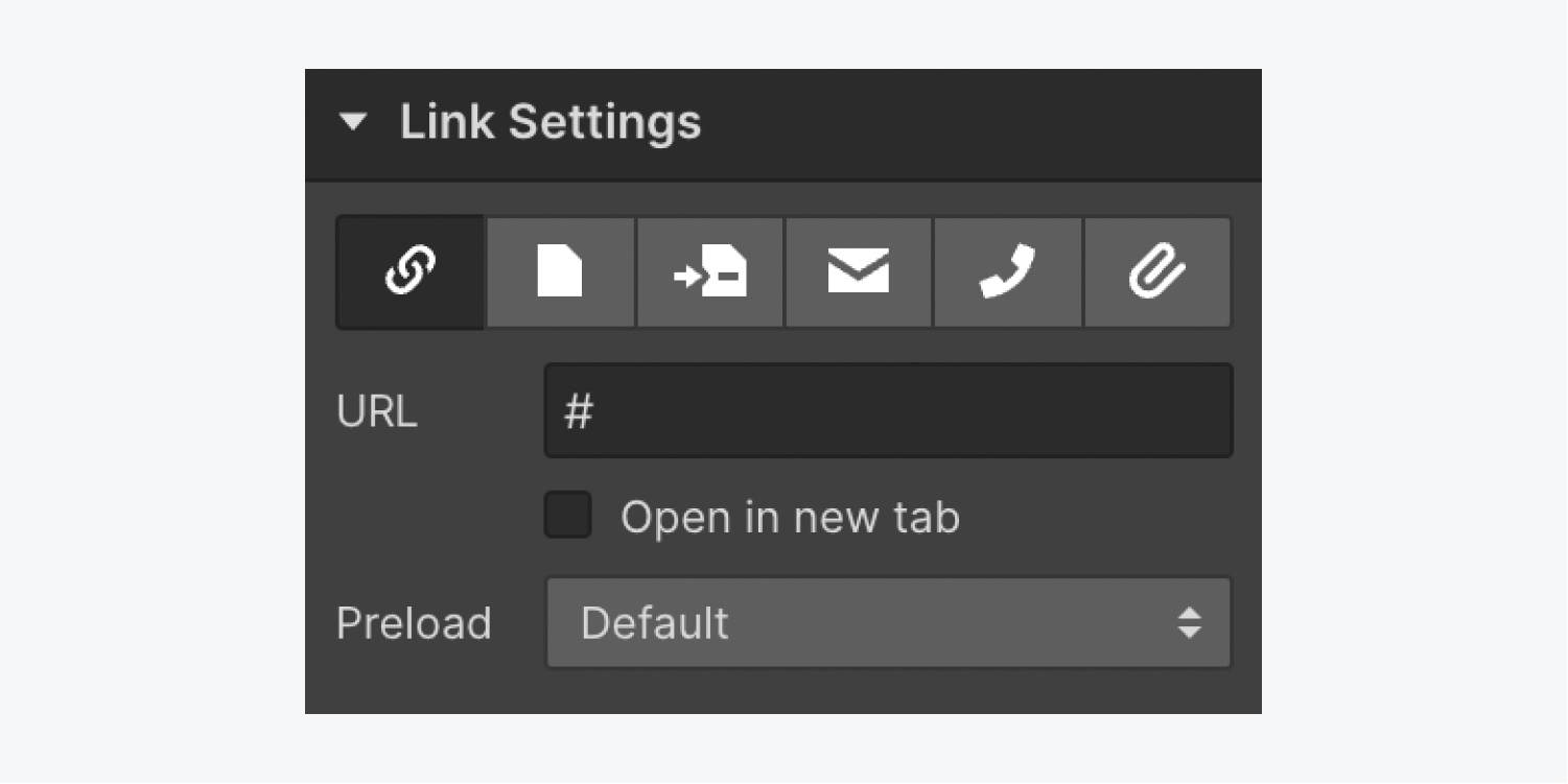 The Link settings section in the Settings panel.