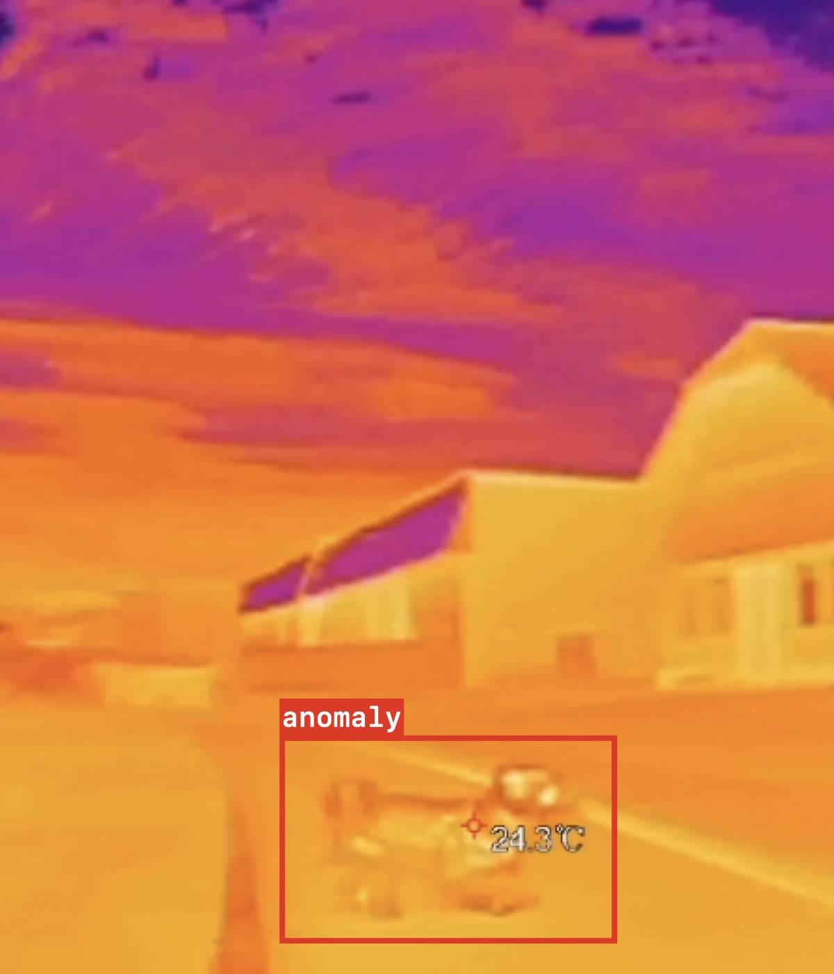 Thermal scan of dog