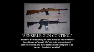 Funny 2nd Amendment Quotes Image Search Results Picture