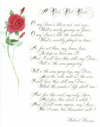 Shakespeare Sonnet – Artistic Rose Script / Gold accents