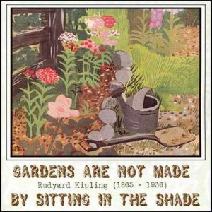 ... quotes quotes garden flower quotes gardening quotes funny secret