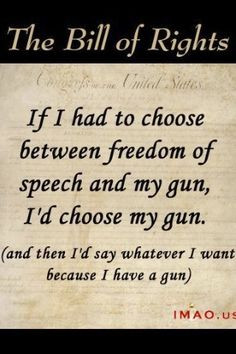 1st Amendment vs 2nd Amendment - Second Amendment, please! More