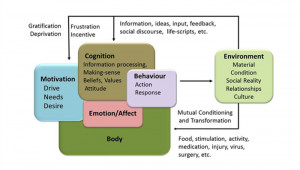 Buy Poster Social Behavior